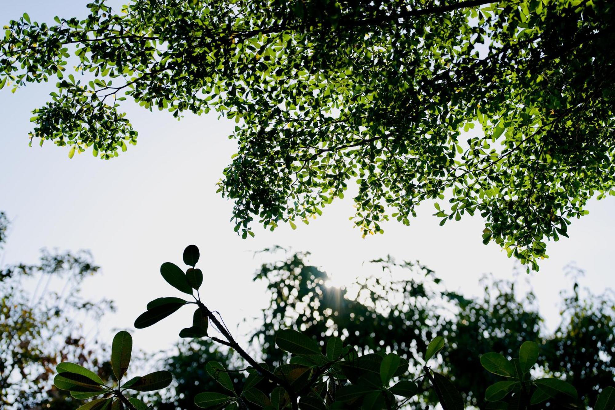 Elysium Suite Siem Reap Exteriör bild